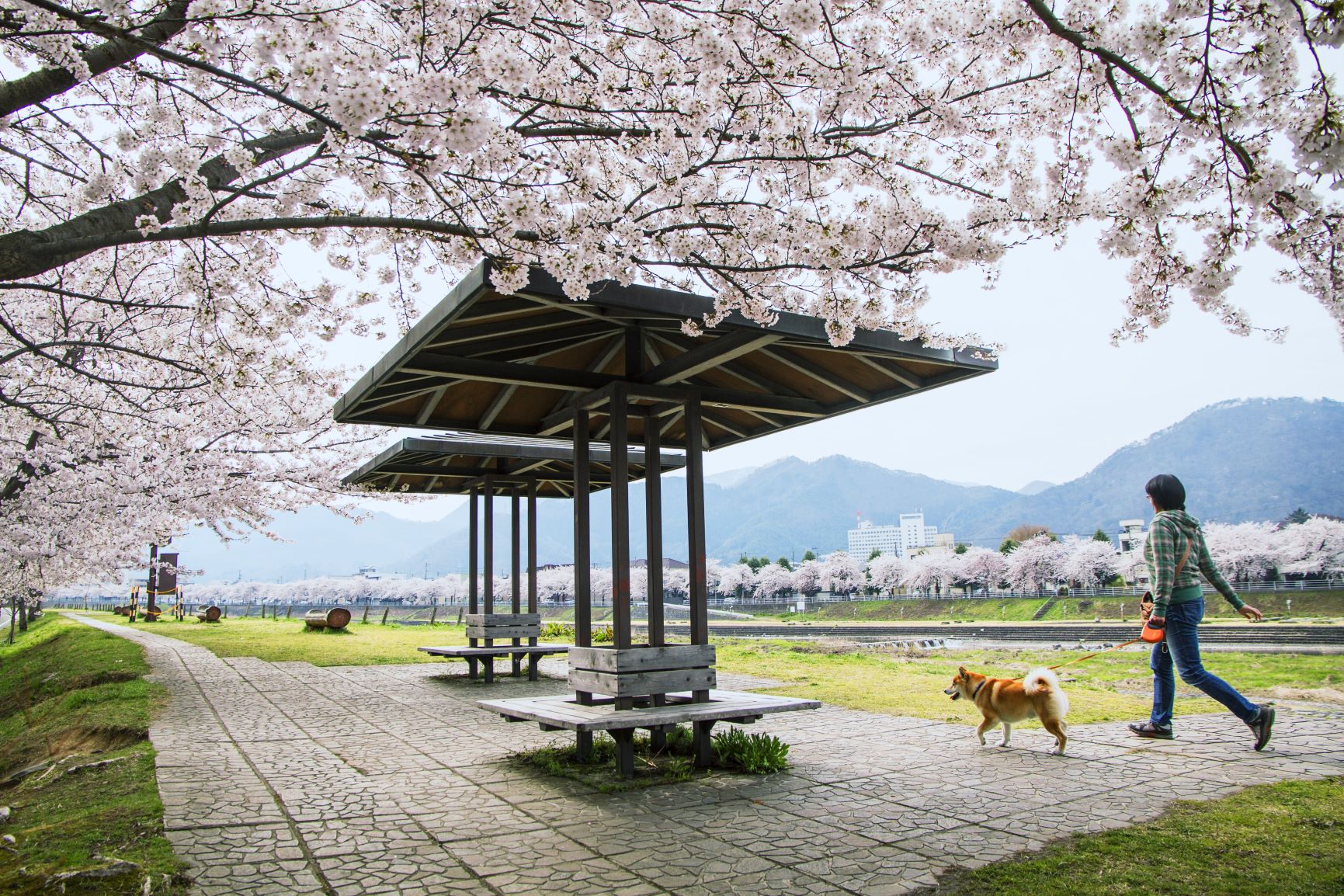 馬見ヶ崎河川敷