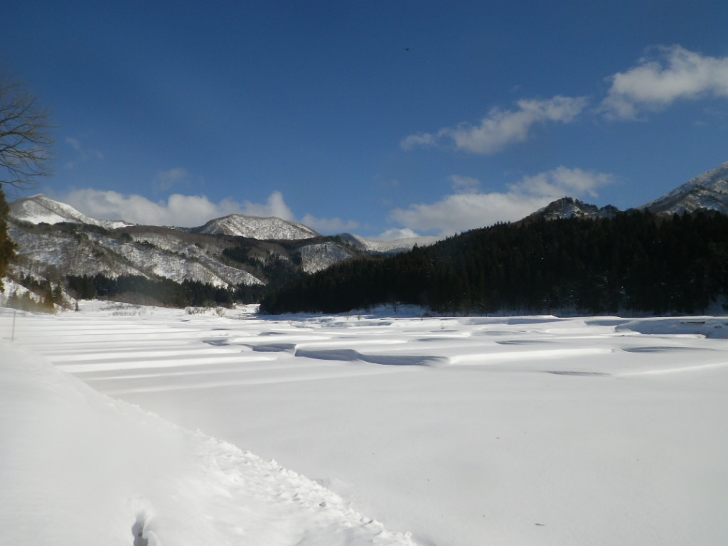 中沢の棚田