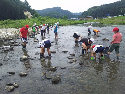 水生生物調査の様子（H30大蔵小）