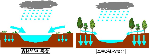 水源涵養のはたらき