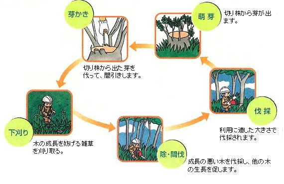 里山の管理