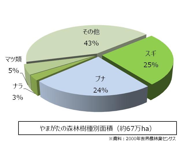 樹種別面積