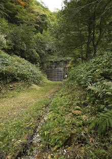 関山隧道の写真(遠目で)