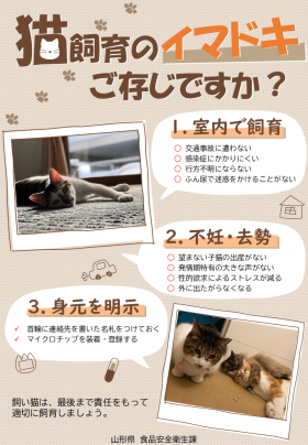 猫の飼育方法