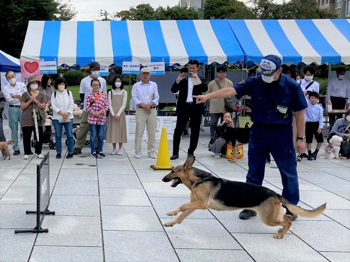 police_dog