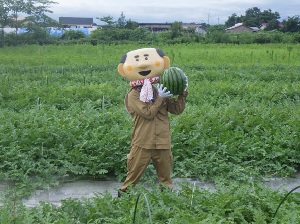 万造スイカ