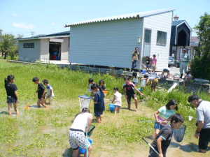 若狭郷屋地区生きもの調査2