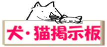 犬・猫掲示板