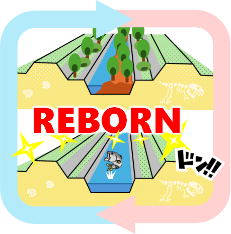 REBORN