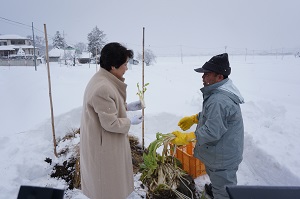 第14回小さい雪菜