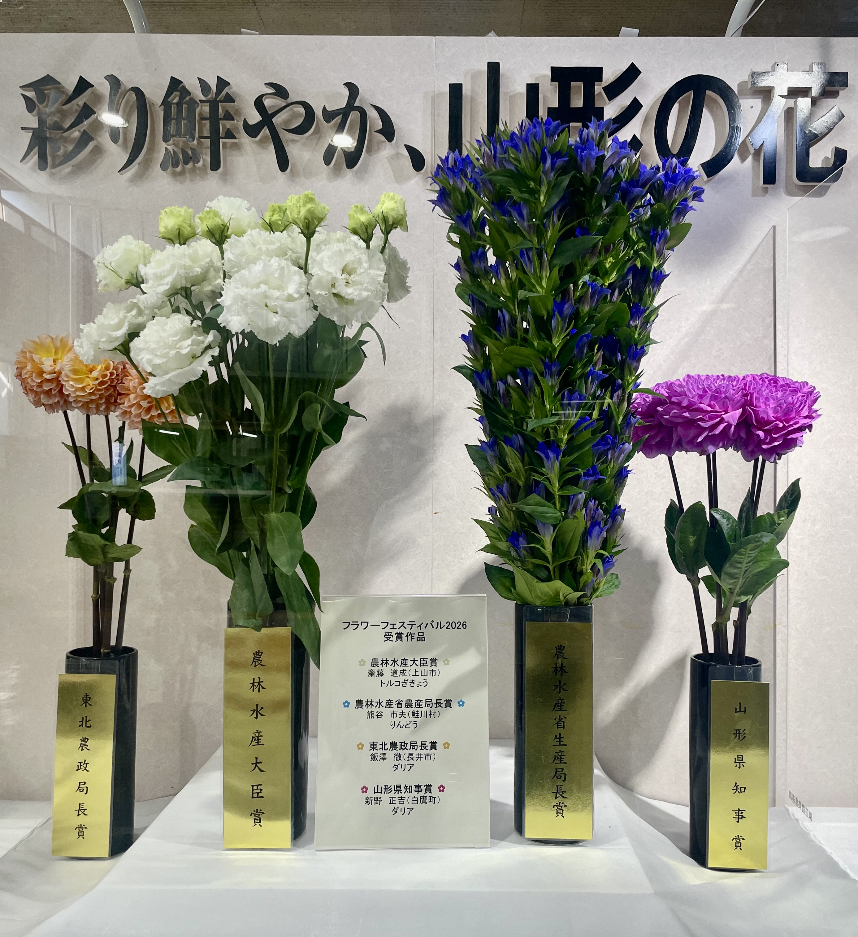 20261019