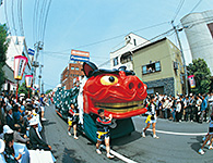 庄内地域：酒田祭り